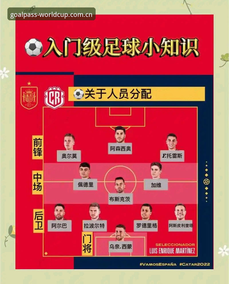 世界杯竞猜平台使用教程：从新手到高手的完整操作指南
